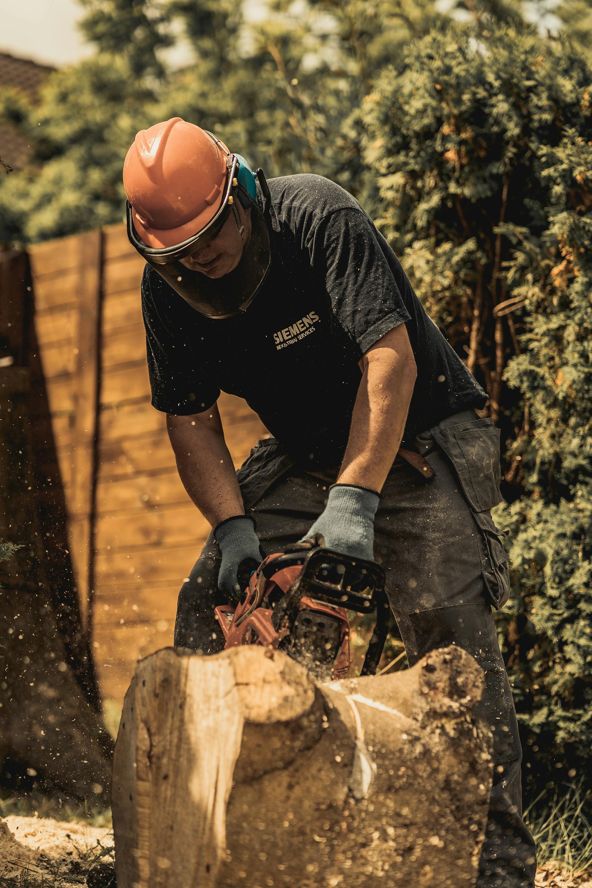 DFW arborist in helmet and ear pro grinding a residential stump down to grade in the back yard.